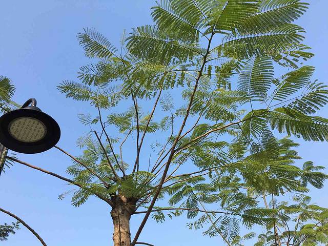 元宝山体育公园