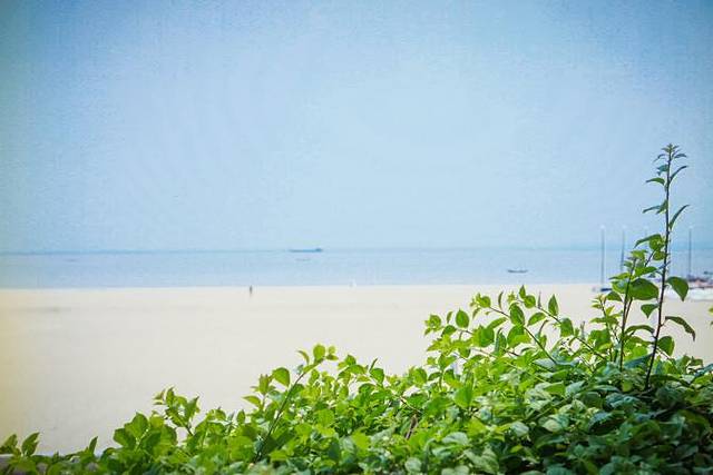 音乐广场(环岛南路)