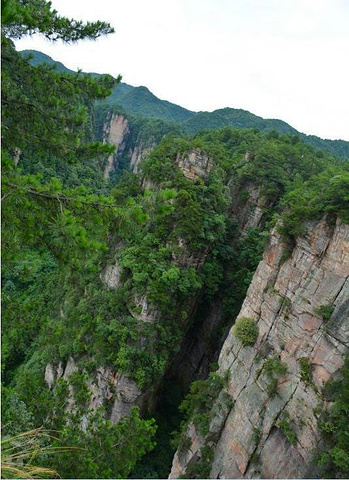 天子山西海峰林(云青岩)的美景,话不多说,直接上图欣赏吧,有一种无法