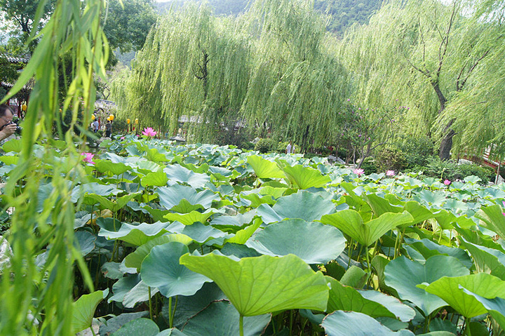 七月七日长生殿 一曲长恨歌愣是给后人增添了