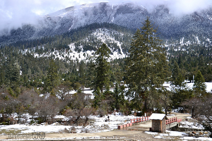 2017.草甸狭长地带就是鲁朗镇,山谷开阔,牧场里
