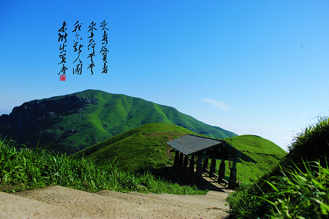 下一站(中心商务区店)旅游景点攻略图