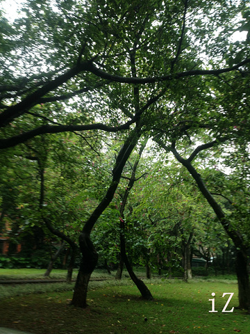 2017最好带把伞在身上,广州天气变化莫测_中