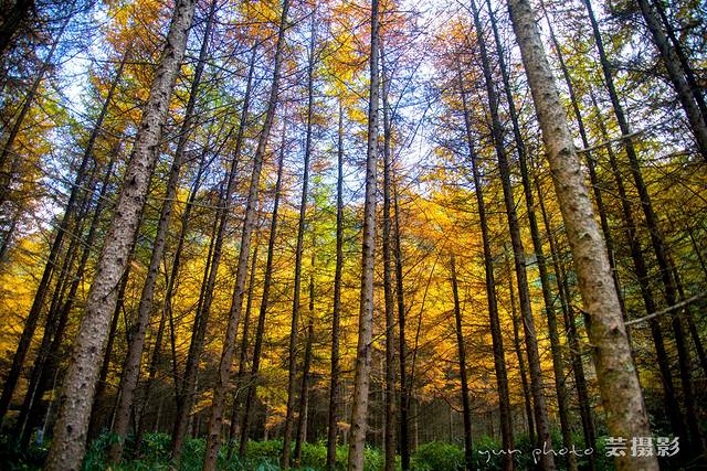 光雾山旅游景区