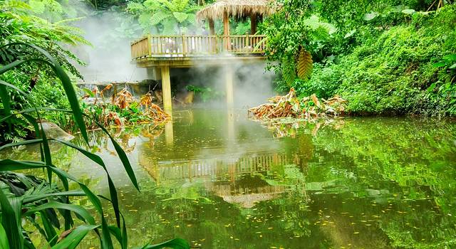 在我的城市旅行 植物园--烟雨迷蒙春色中