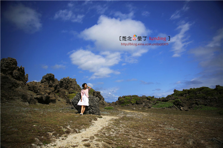 2017.感受生态平衡的景象,为了知道爱护环境的