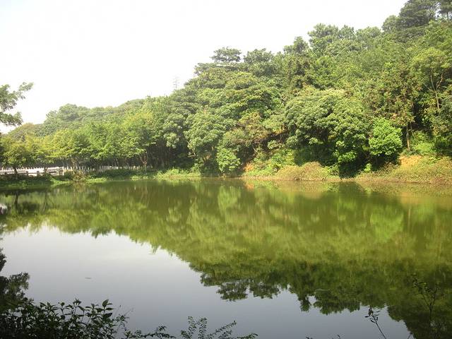 西樵山风景名胜区-天湖公园