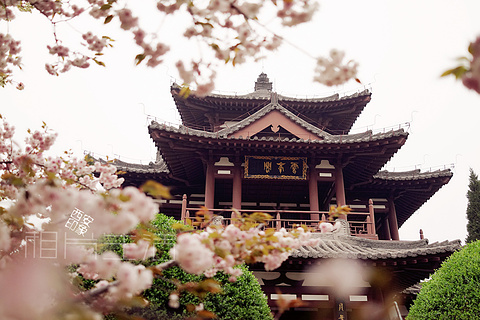 青龙寺