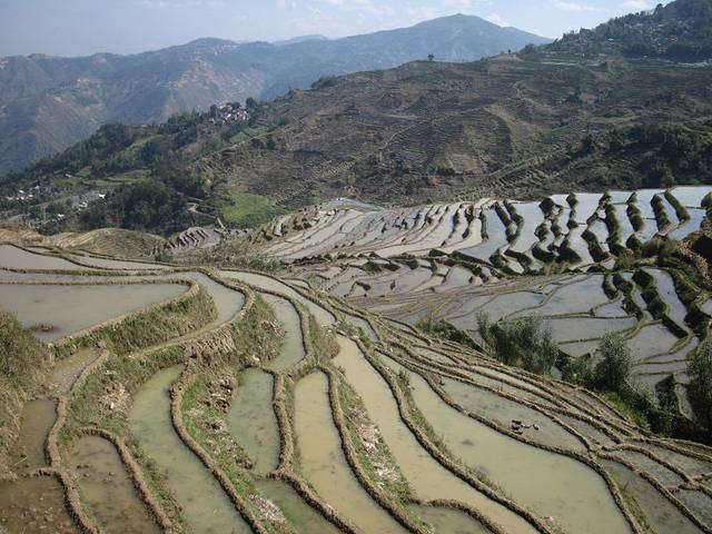 元江那诺梯田