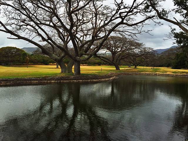 凯阿拉凯库亚海湾州立历史公园