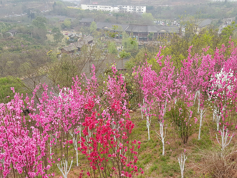 五凤镇旅游景点图片