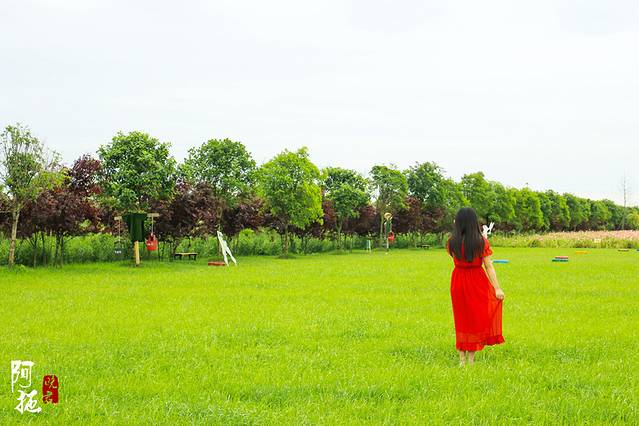 【德阳】待到山花烂漫时,她在丛中笑