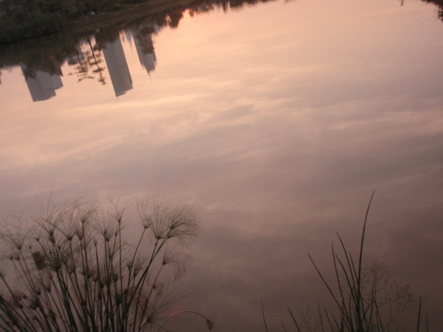 2019莲花山公园游玩攻略,深圳莲花山公园是深