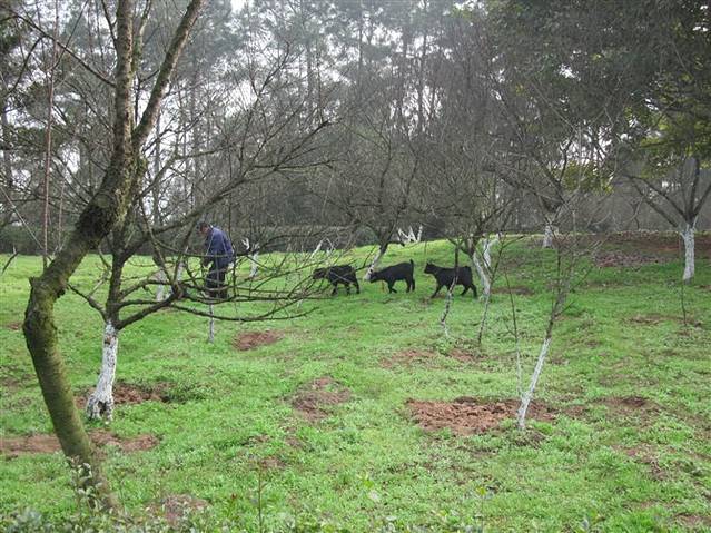 自贡尖山风景区