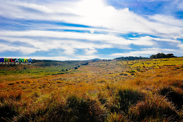 山下一望无垠的原野依旧笼罩在如烟似纱的晨雾中好像仙境一般随着小道