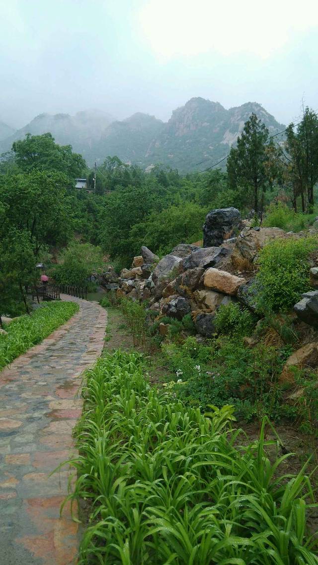 白虎涧森林公园