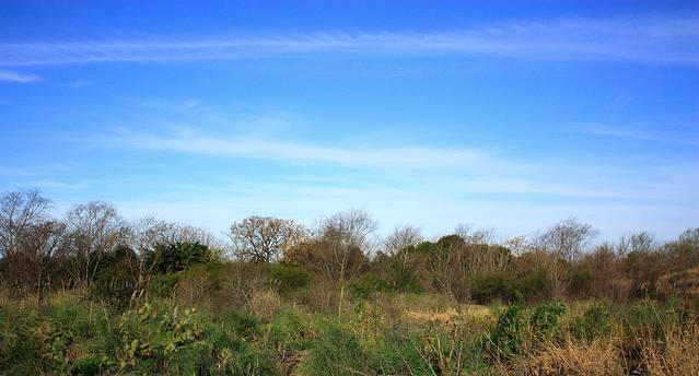 Reserva Ecologica Costanera Sur