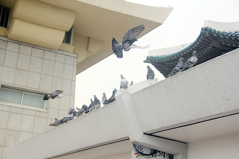 龙头山公园旅游景点攻略图