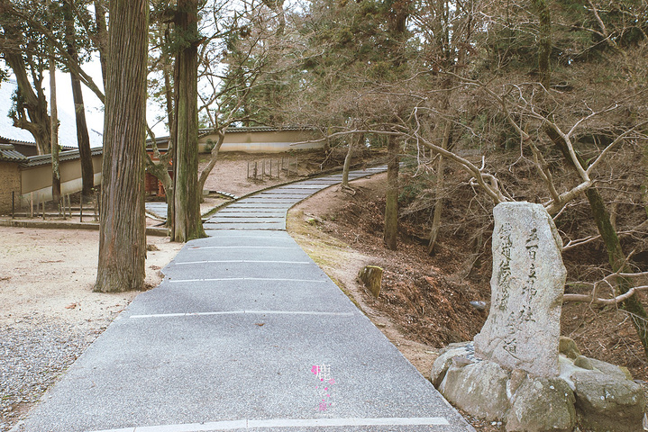 "从东大寺出来，见到如此有爱的一幕，居然来得及拿起相机拍拍拍，感觉大满足！你看看。你看看。你看看_东大寺"的评论图片