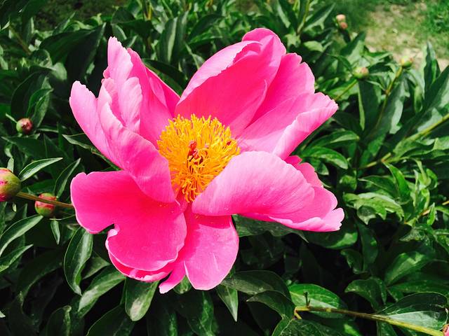 兰州大学(天水南路校区)