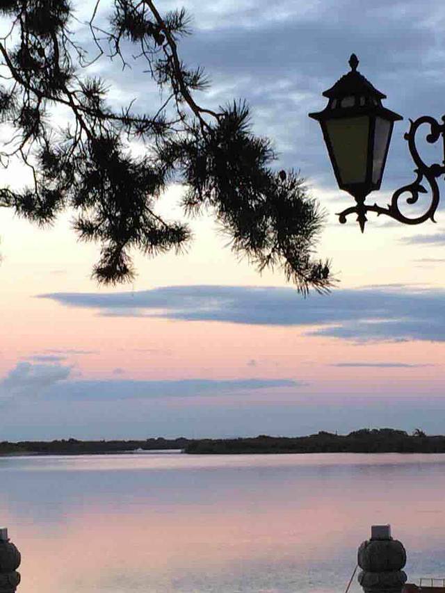 乌苏里江国家森林公园