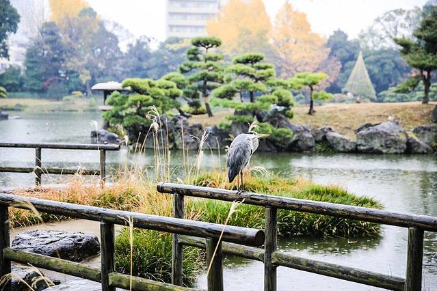 清澄庭园