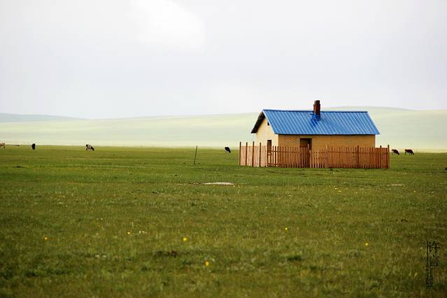 草原上孤独的小房子,和牛群羊群为伴远处的山被雾气笼罩,若隐若现