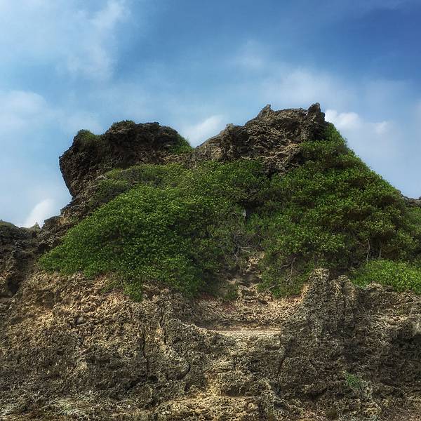 龙坑生态保护区