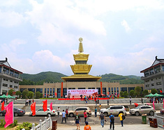 大洪山银杏树