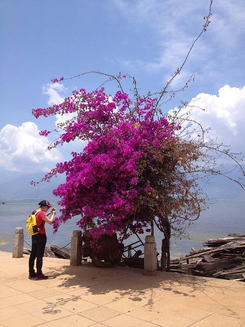 云南——说不尽的回忆,道不完的美丽