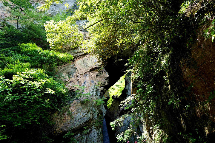 自然风光方面,比较秀珍单调,没有大气蓬勃的感觉_官门山"的评论