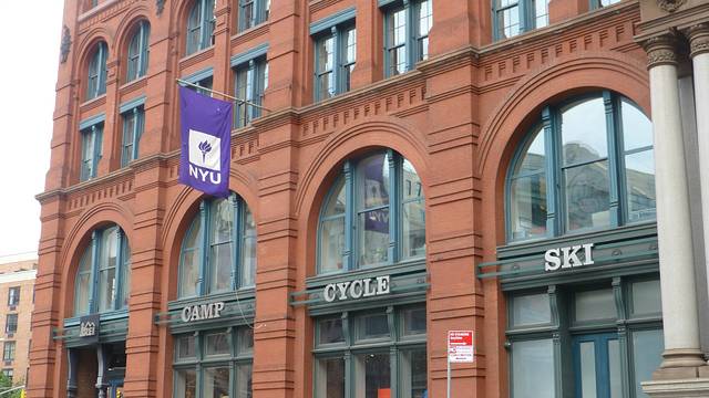 纽约大学