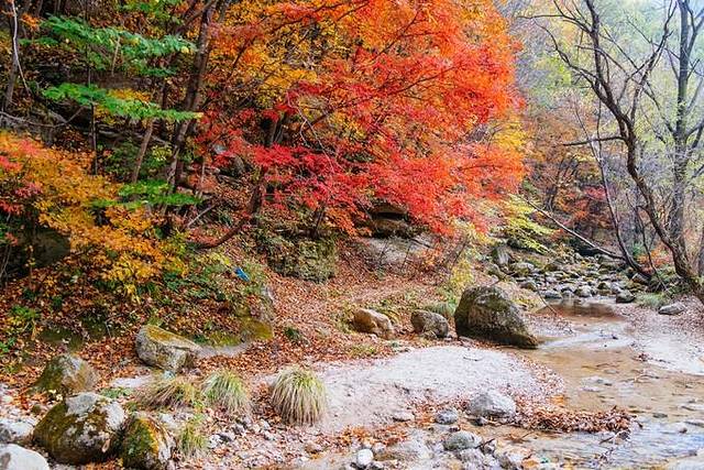 大冰沟国家地质森林公园