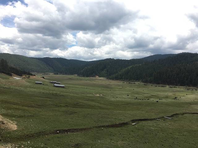 未知的云南,梦中在一念花开.