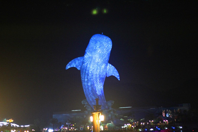 广州-珠海两地长隆亲子之旅|陪你疯玩到老_广