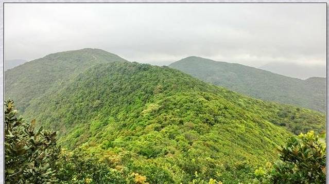 将军澳华人永远坟场