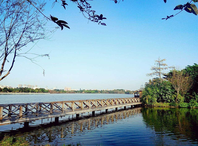 广州风情,广州味-广州旅游攻略-游记-去哪儿攻略