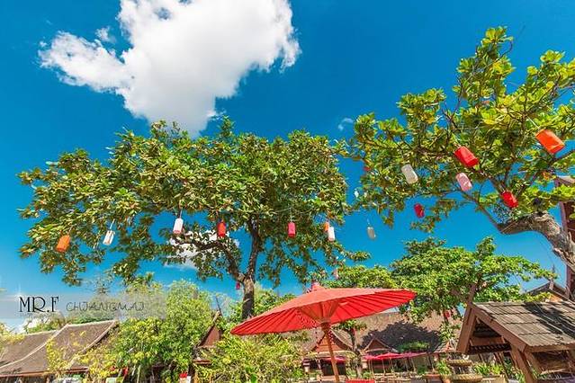 老清迈文化中心