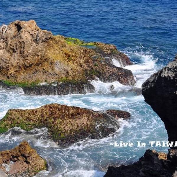 龙坑生态保护区