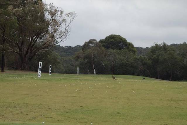 Anglesea Golf Club