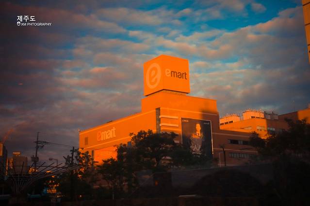 济州市厅大学路