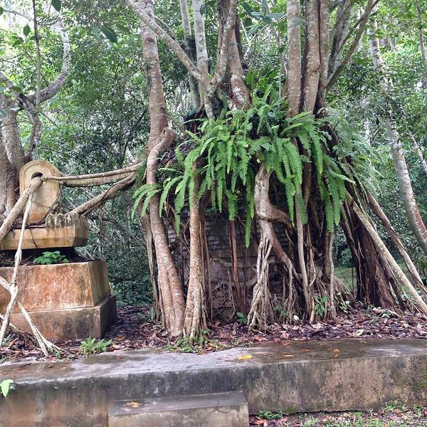 中科院西双版纳热带植物园