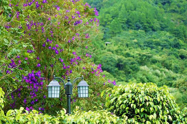从化流溪河水上绿道