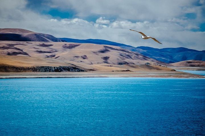 与玛旁雍错一路之隔的佩枯措则称为鬼湖据说喝了湖水会死在佩枯措上空