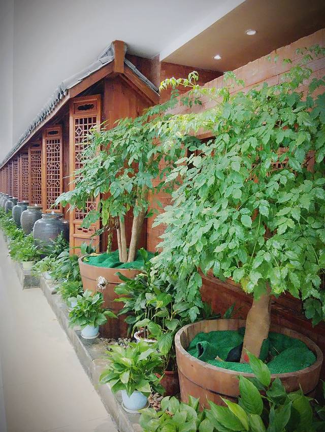 新白鹿餐厅(中大银泰城店)