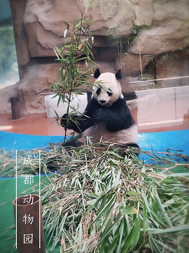 成都动物园