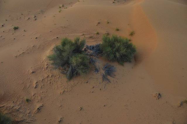 阿联酋热气球探险
