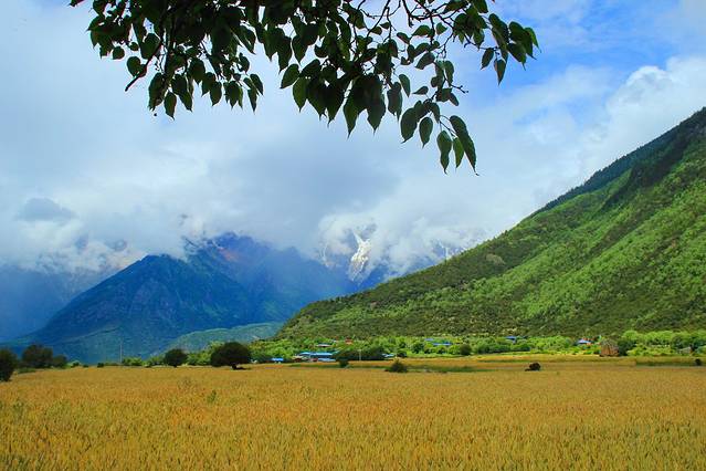 雅鲁藏布大峡谷