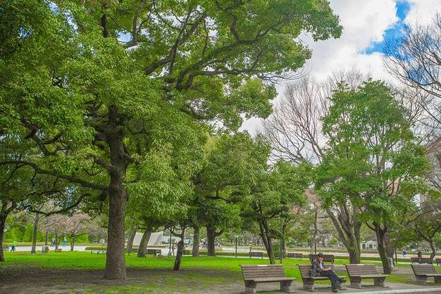 乘着豪华游轮去日本