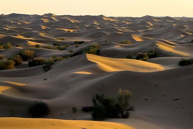 大漠孤烟,体验西北沙漠之旅